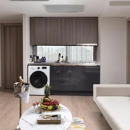 酒店 Nish Palace Besiktas 伊斯坦布尔